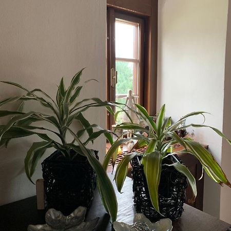 Sancta Katharina Pension Rozvadov Buitenkant foto
