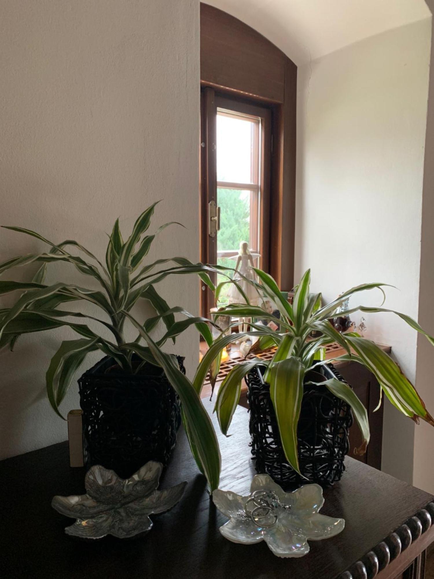 Sancta Katharina Pension Rozvadov Buitenkant foto